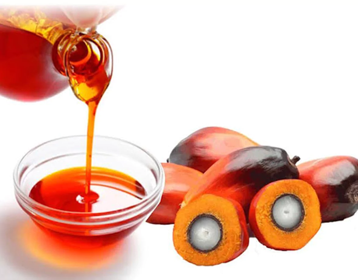 Palm Kernel
